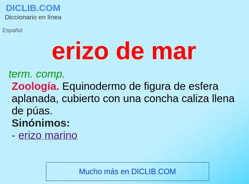 What is erizo de mar - definition