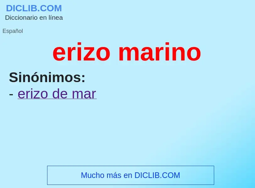 What is erizo marino - definition