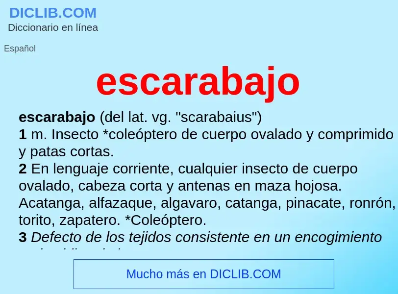 What is escarabajo - meaning and definition