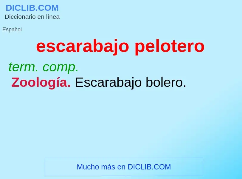 What is escarabajo pelotero - meaning and definition