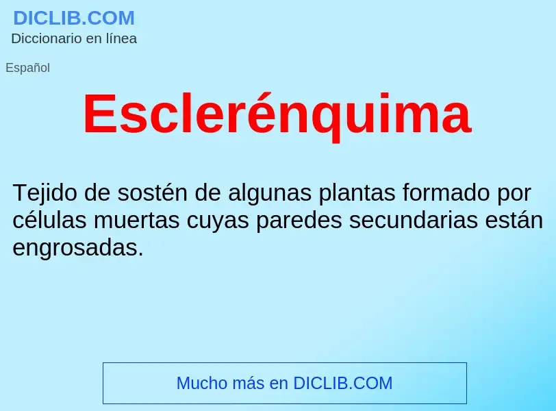 ¿Qué es Esclerénquima ? - significado y definición