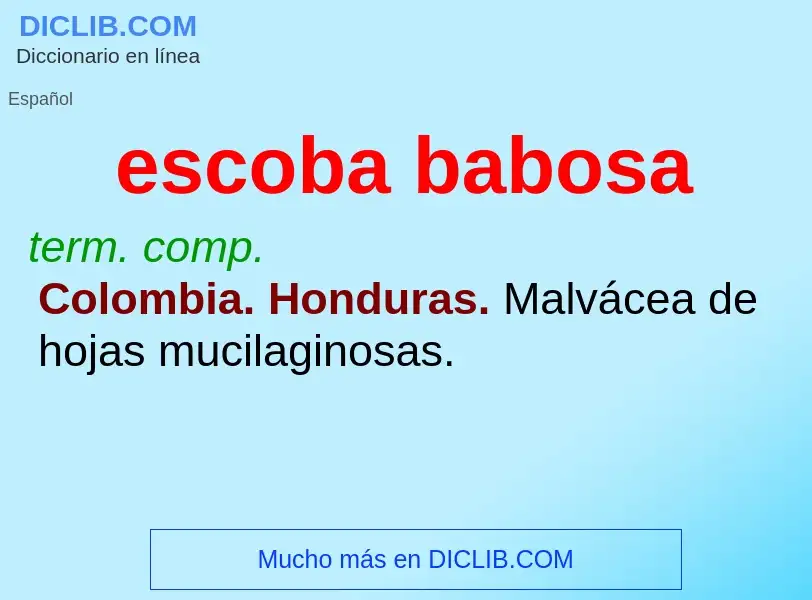 What is escoba babosa - meaning and definition