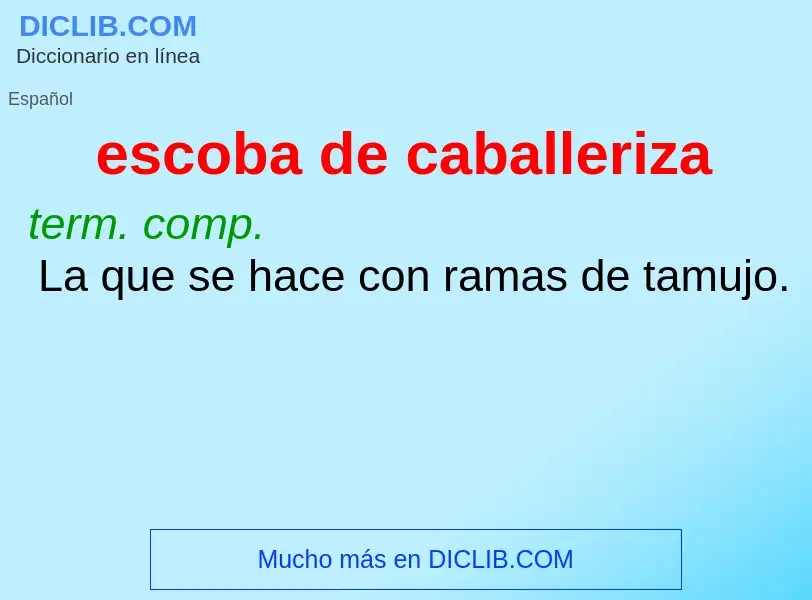 Was ist escoba de caballeriza - Definition