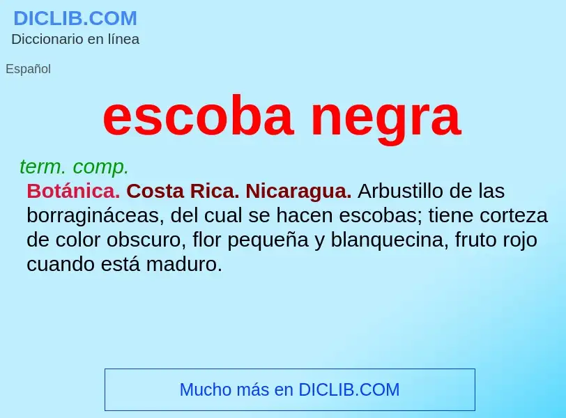 Wat is escoba negra - definition