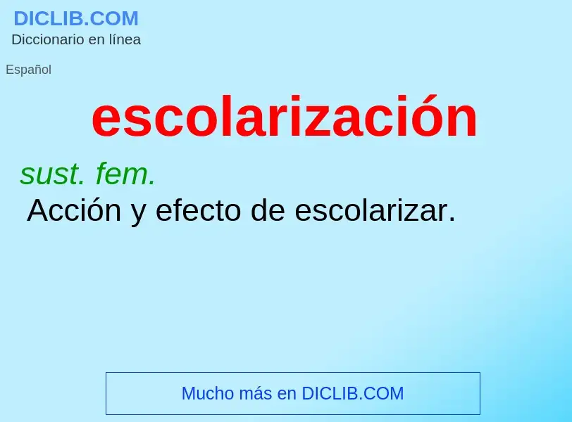 Was ist escolarización - Definition