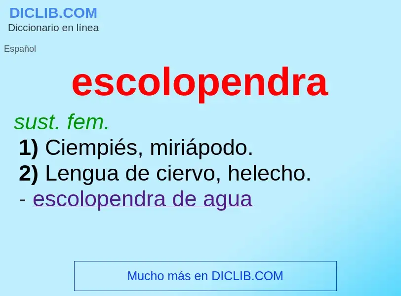 What is escolopendra - definition