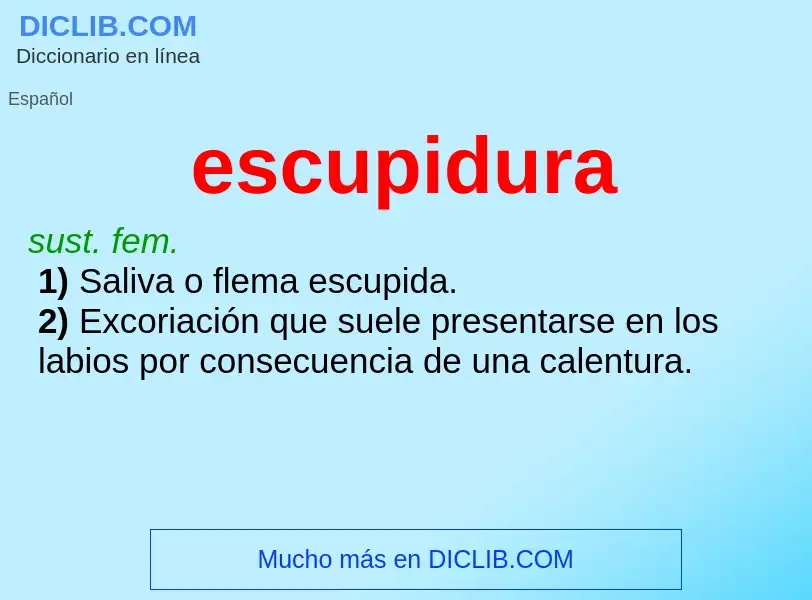 Wat is escupidura - definition