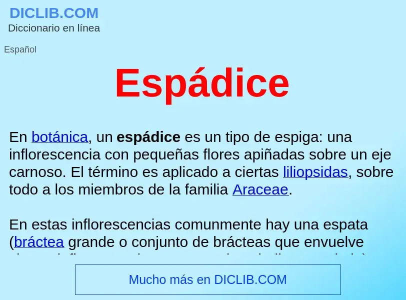 ¿Qué es Espádice ? - significado y definición