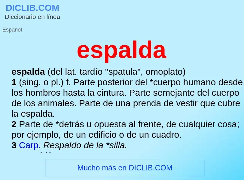 Was ist espalda - Definition