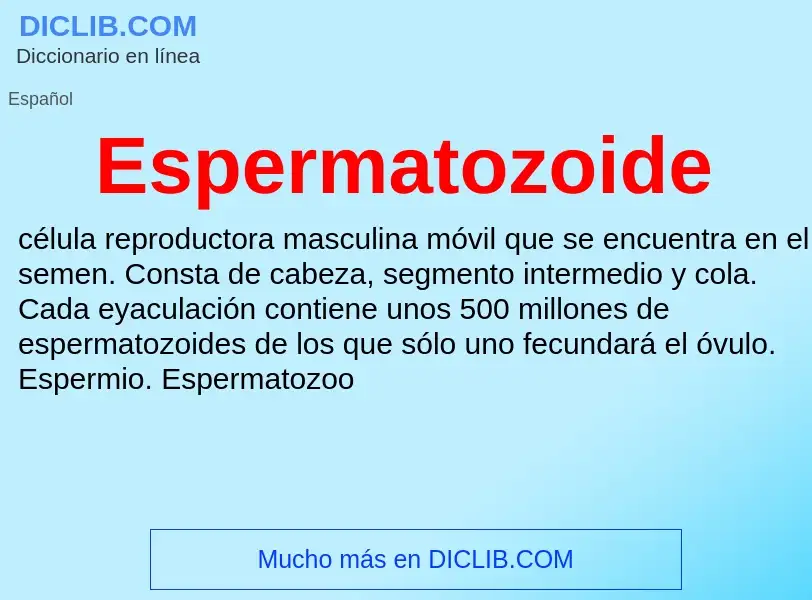 What is Espermatozoide - definition