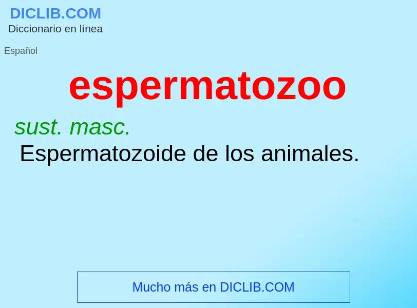 Wat is espermatozoo - definition