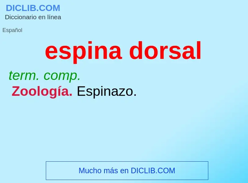 What is espina dorsal - definition