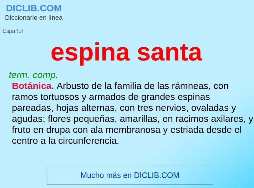 What is espina santa - meaning and definition