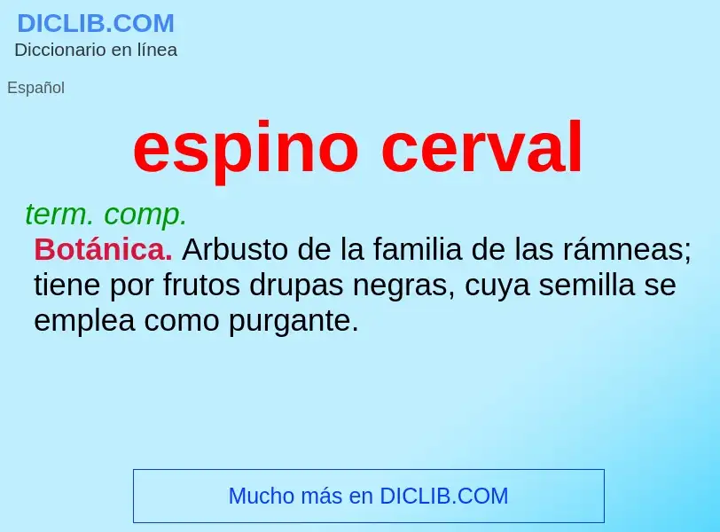 ¿Qué es espino cerval? - significado y definición