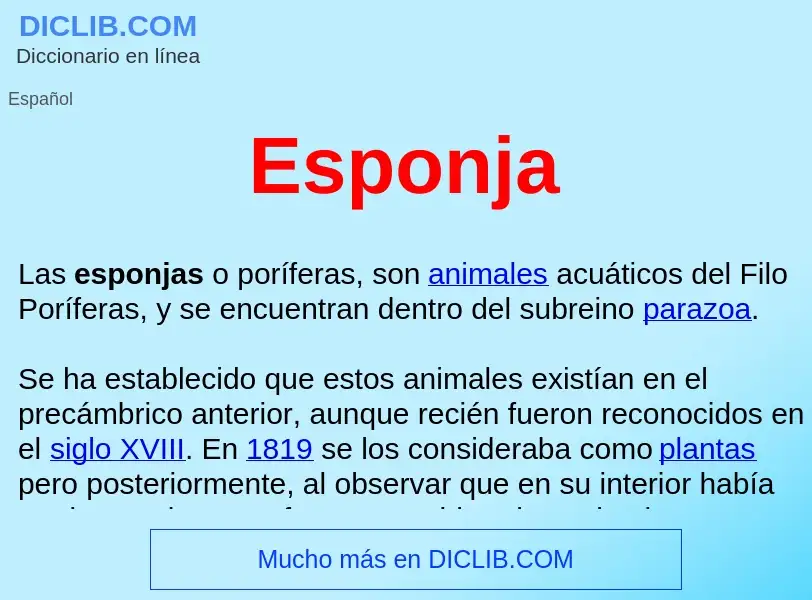 O que é Esponja  - definição, significado, conceito