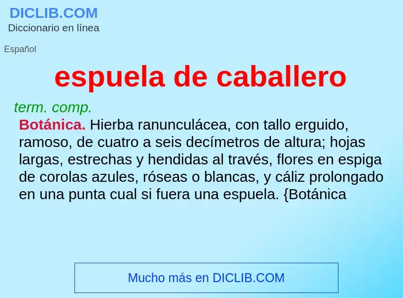 What is espuela de caballero - meaning and definition