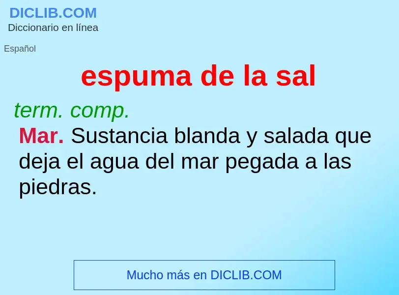 Wat is espuma de la sal - definition