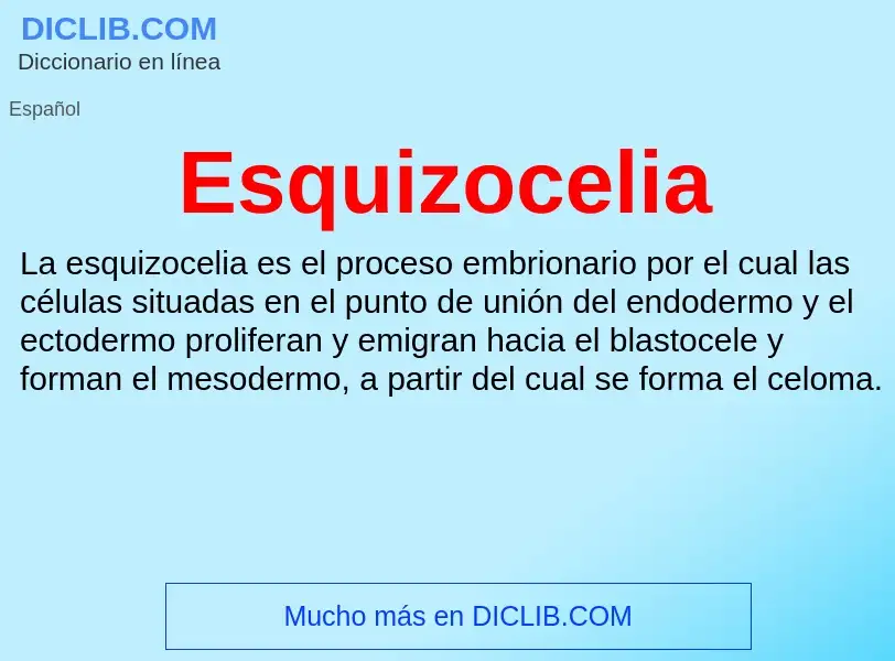 ¿Qué es Esquizocelia? - significado y definición