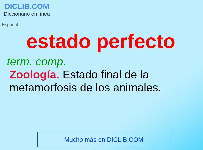 What is estado perfecto - meaning and definition