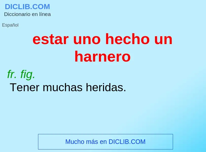 Wat is estar uno hecho un harnero - definition