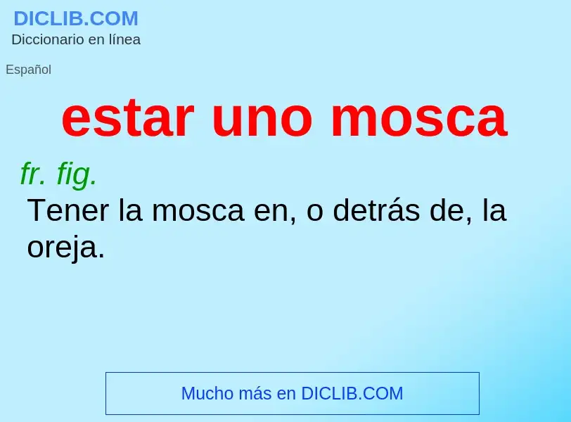 What is estar uno mosca - definition