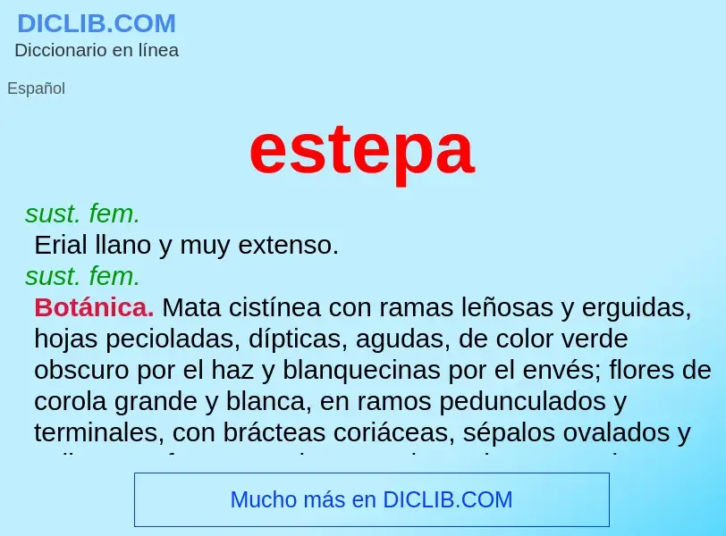 Was ist estepa - Definition