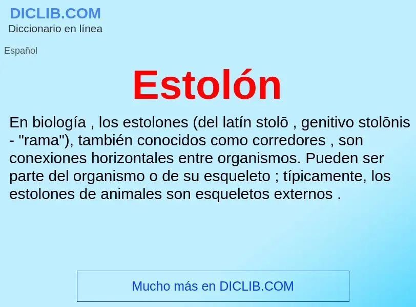 ¿Qué es Estolón? - significado y definición