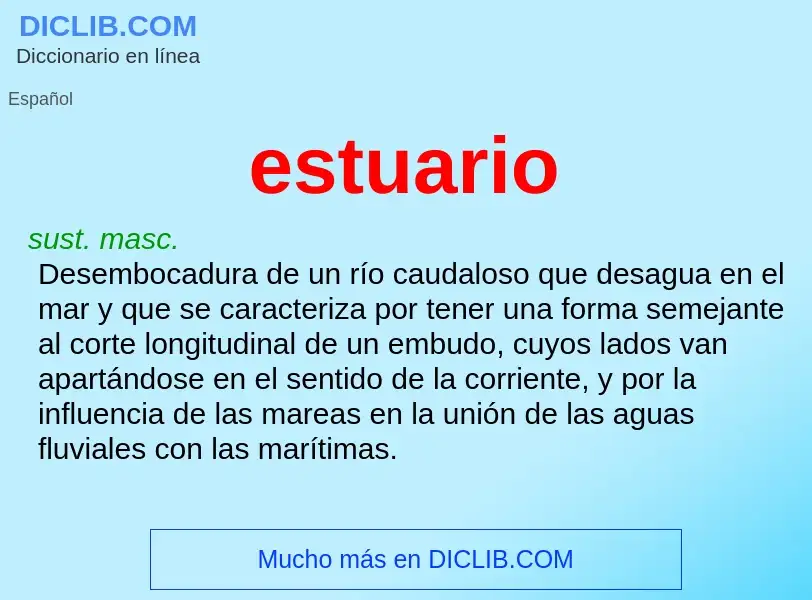 O que é estuario - definição, significado, conceito