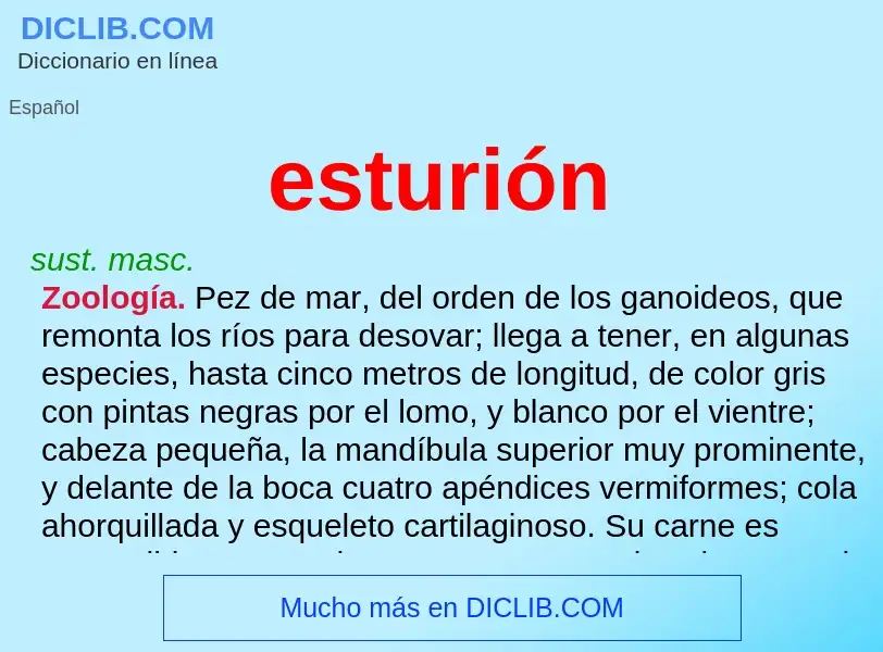 What is esturión - meaning and definition