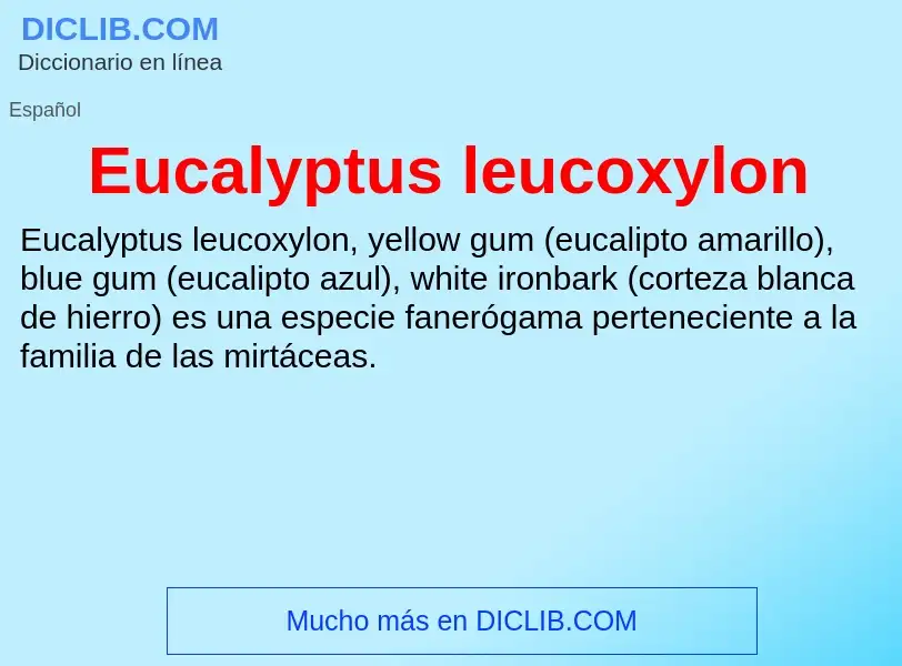 What is Eucalyptus leucoxylon - definition