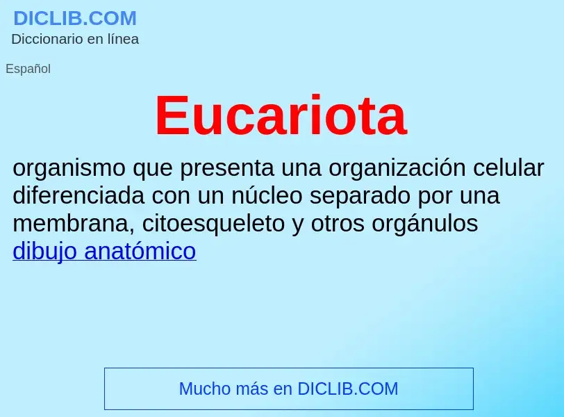 ¿Qué es Eucariota? - significado y definición