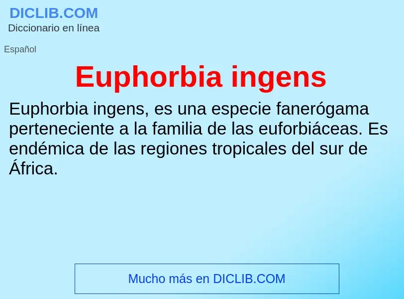 ¿Qué es Euphorbia ingens? - significado y definición