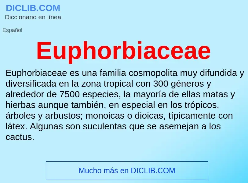 ¿Qué es Euphorbiaceae? - significado y definición