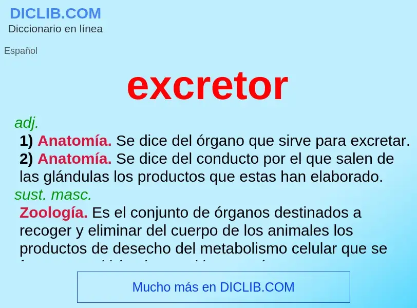 ¿Qué es excretor? - significado y definición