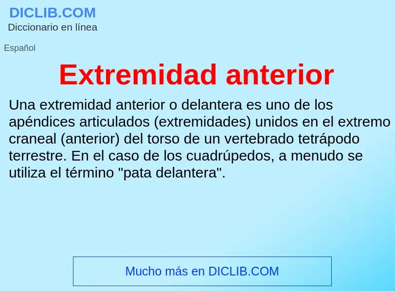 What is Extremidad anterior - meaning and definition