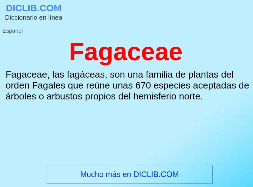 ¿Qué es Fagaceae? - significado y definición