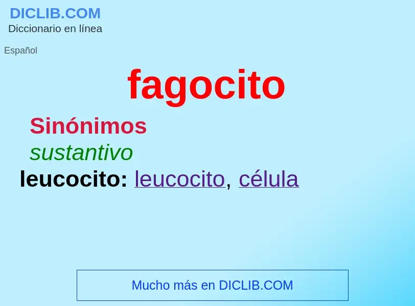 Che cos'è fagocito - definizione