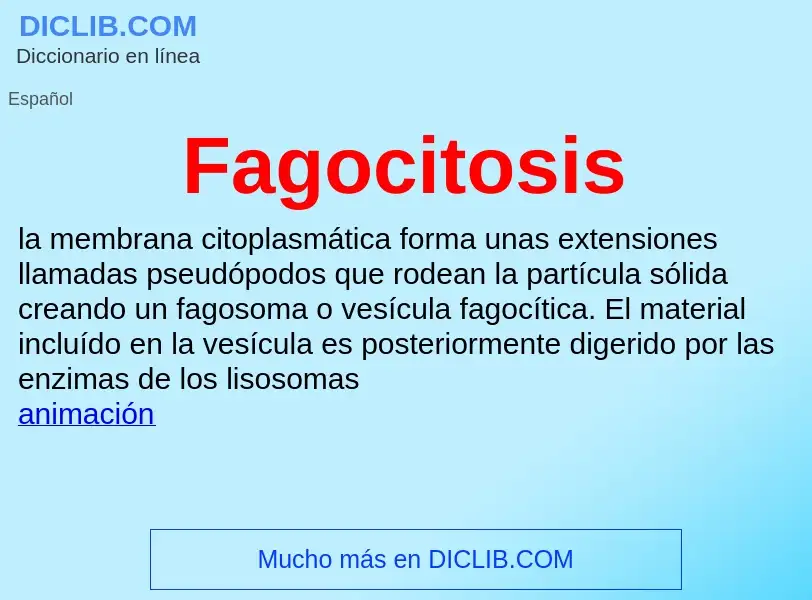 Che cos'è Fagocitosis - definizione