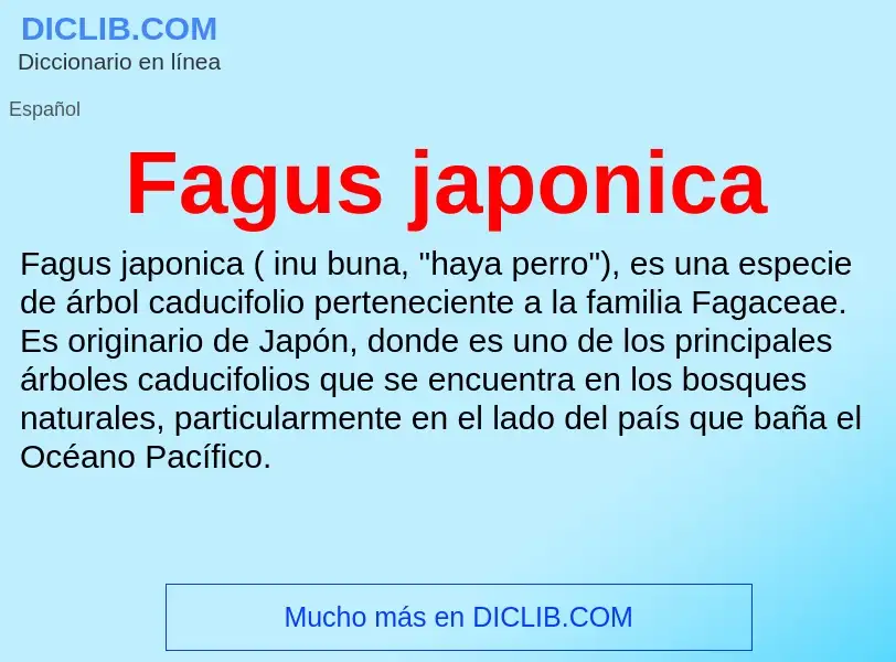 Che cos'è Fagus japonica - definizione