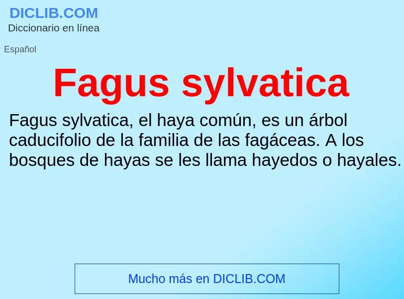 ¿Qué es Fagus sylvatica? - significado y definición