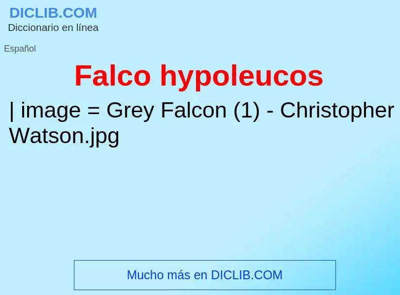 Wat is Falco hypoleucos - definition