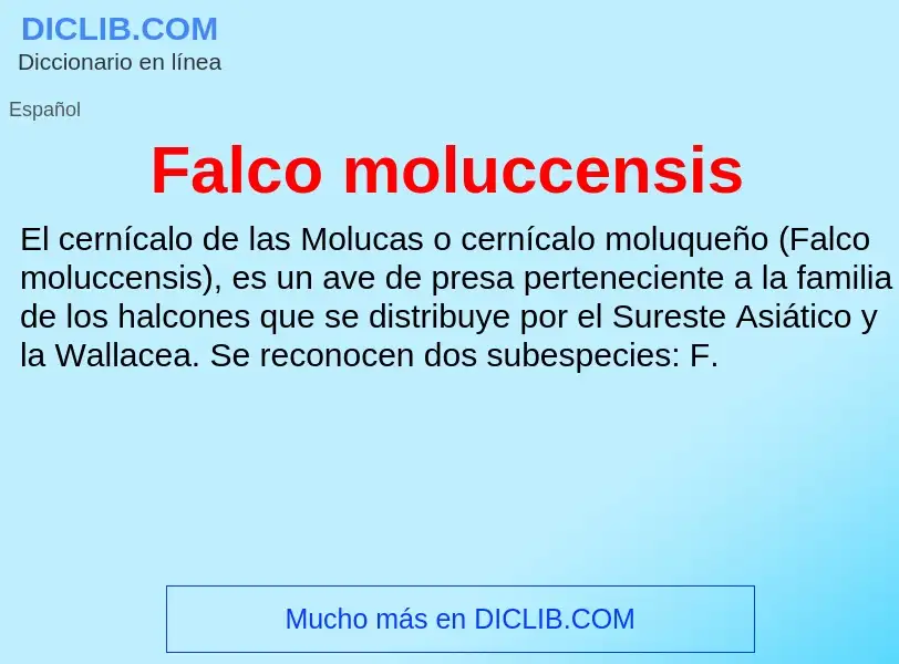 Τι είναι Falco moluccensis - ορισμός