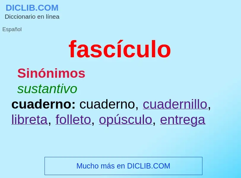 Was ist fascículo - Definition