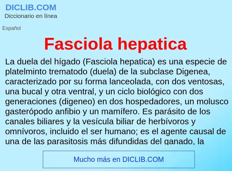 ¿Qué es Fasciola hepatica? - significado y definición