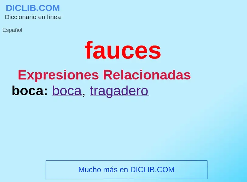 Wat is fauces - definition