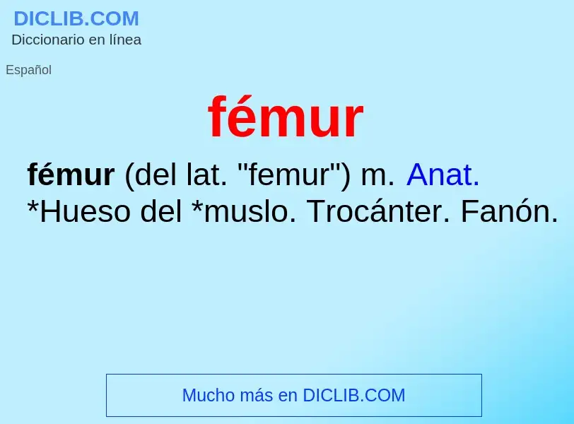 Wat is fémur - definition