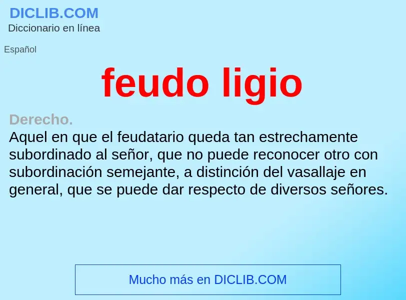 What is feudo ligio - definition