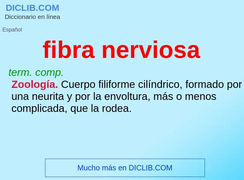 What is fibra nerviosa - meaning and definition