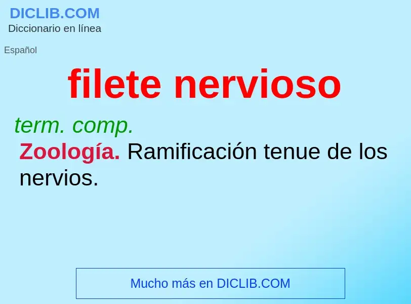 Wat is filete nervioso - definition