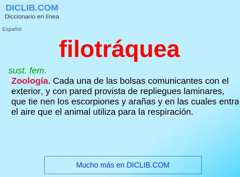 Wat is filotráquea - definition